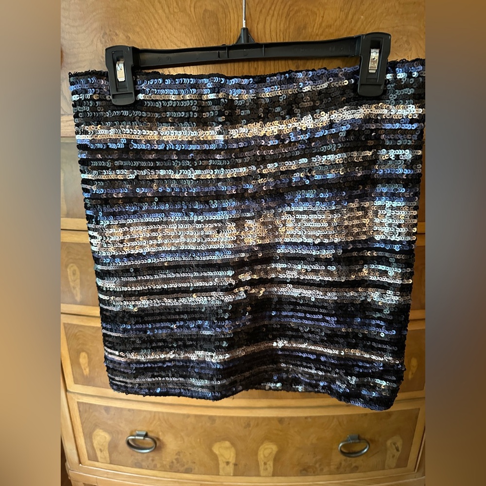 Sequin Striped Skirt - Blue and Black
